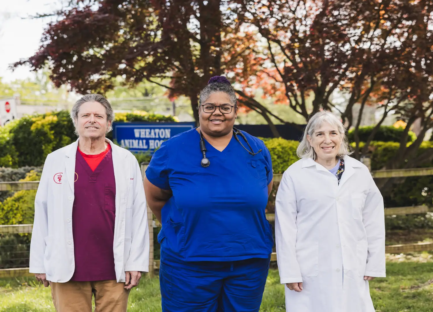 Three veterinarians at Wheaton Animal Hospital in Kensington, MD posing for a group photo