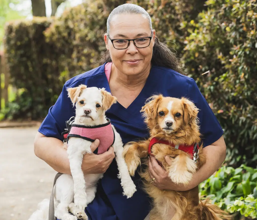 Team member at Wheaton Animal Hospital holding two dogs
